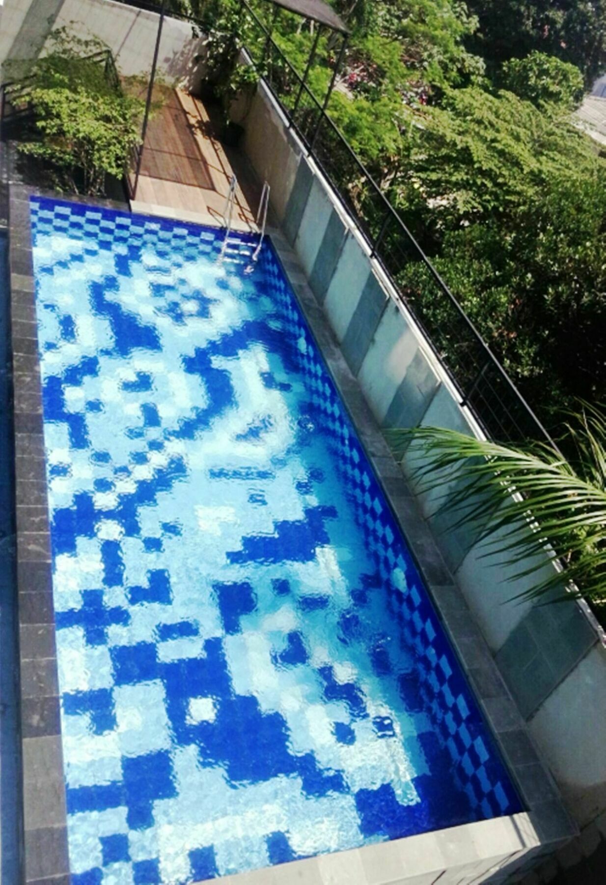 Agria 3*